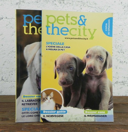 Pets the thecity - 2,