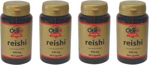 Reishi ganoderma lucidum 400 - reishi,