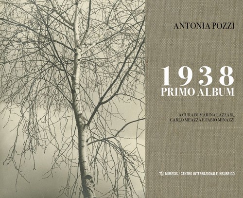Libri antonia pozzi 1938 - libri,