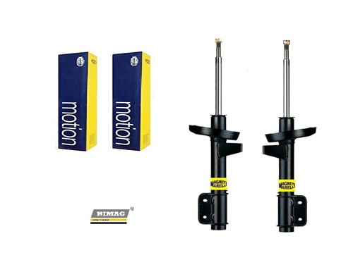 Ammortizzatori magneti - 2,