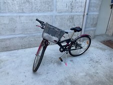 bicicletta bambina 24