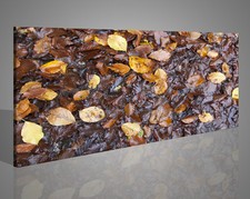 Quadri Moderni Foglie