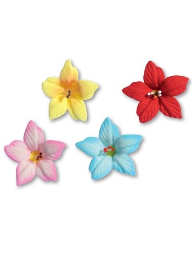 Fiori zucchero chic - in,