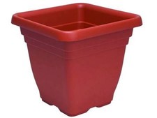 Vaso quadro laurus plastica - quadro, in