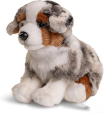 - Cane Pastore Australiano