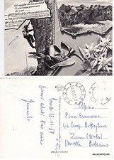 #  militari -ALPINI: SUL CAPPELLO CHE NOI PORTIAMO C'è UNA LUNGA PENNA NERA..