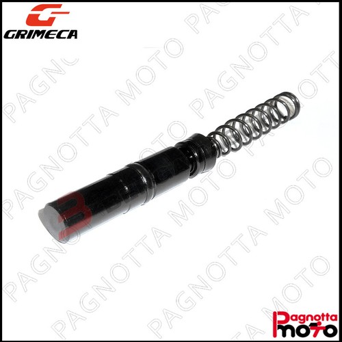 Kit revisione pompa - revisione, freno