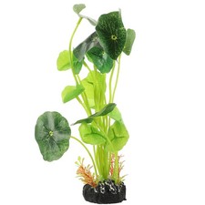  Decorazione Acquario