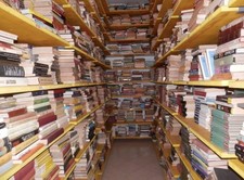 Lotto Stock 200 Libri Misti