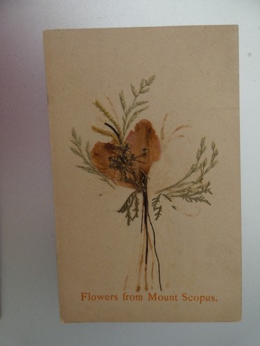 Image pieuse fleurs - , du