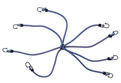 Corda cinghia elastica ragno - corda,