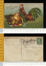 V4002] BUONA PASQUA EASTER - SCENA GALLO E GALLINA COVA UOVA - RILIEVO 1909