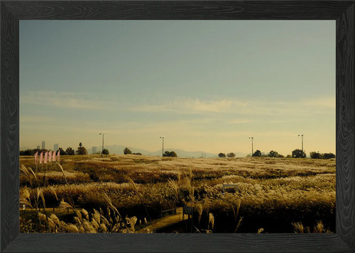 Paesaggio moody seoul poster - paesaggio,