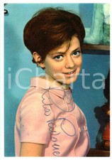 1965 ca MUSICA Rita PAVONE - Ritratto - Foto seriale RCA con AUTOGRAFO 10x15 cm