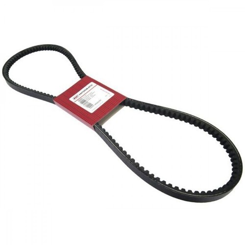 Cinghia trapezoidale per