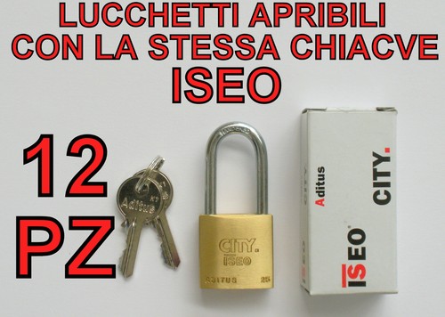 Lucchetti iseo apribili con - 12,