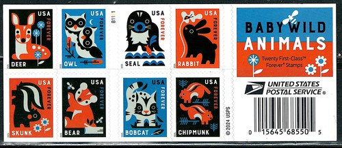 Libretto baby wild animals - baby,