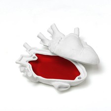 Love in Bloom - Love in a Box