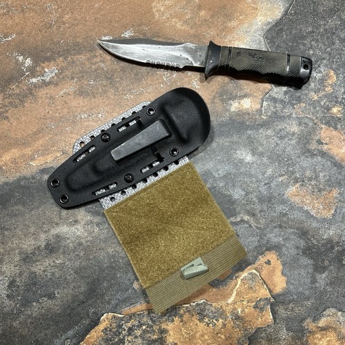 Sog seal pup - pup, old