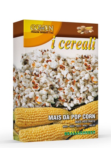 Mais rostrato pop corn - rostrato,