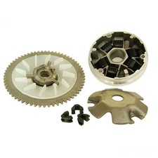 Variatore completo di ruota