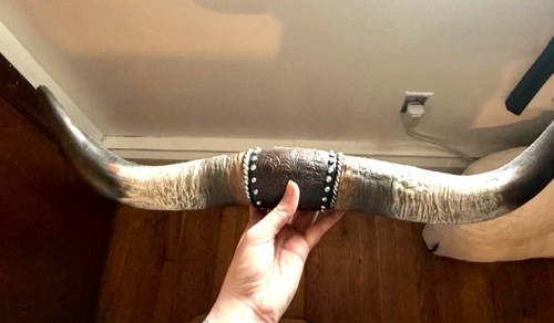 Longhorn steer horns wall - steer,