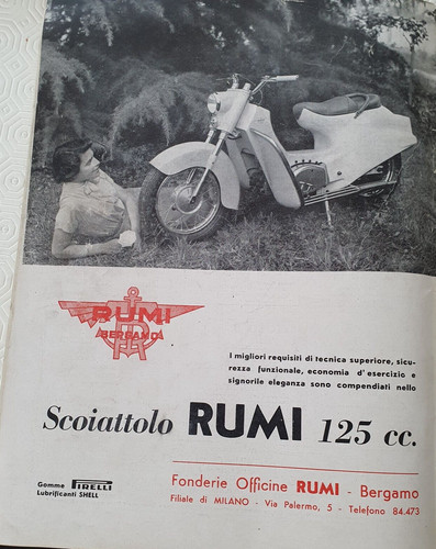 Moto rumi scoiattolo advert - moto,