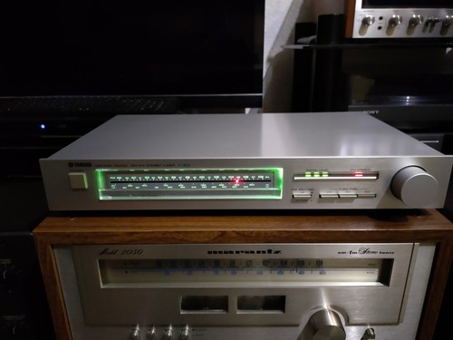 Yamaha 300 natural - t-300, am