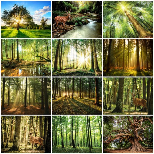 Carta parati foresta 3d - carta,