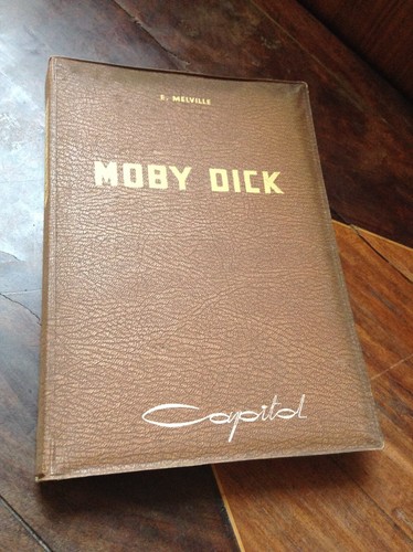 Moby dick balena bianca - dick,