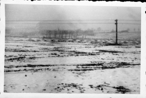 Mar 1946 255 linea - 1946,
