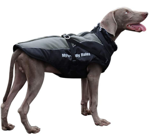 Cane cani cappotto cappottino - cane,