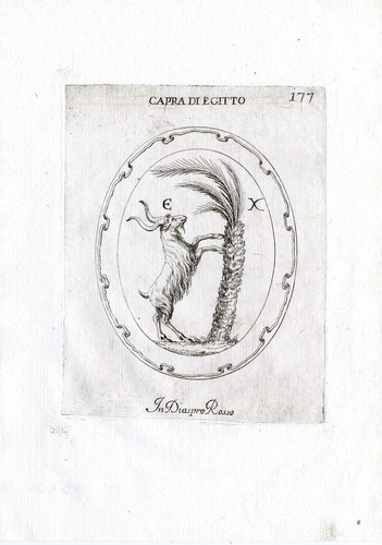 Rara stampa
