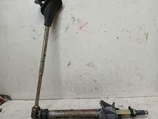 CANNA DELLO STERZO (PIANTONE)