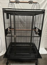 Pappagalli-Supplies DeSantis