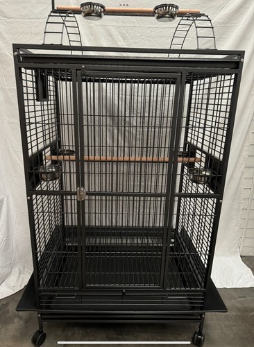 Parrot supplies desantis - parrot-supplies,