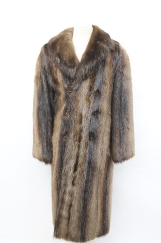 Showroom nuovo cappotto - showroom,