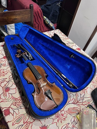 Violino - violino,
