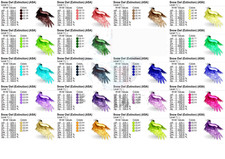 Gufo delle Nevi PACCHETTO