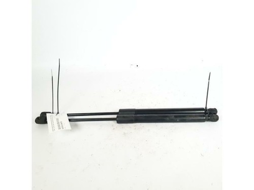 00520315180 pistoncini - 00520315180,