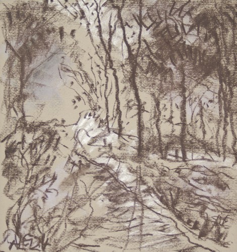 Carbone gesso rosolio disegno