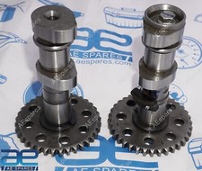 Scarico E Aspirazione Albero a