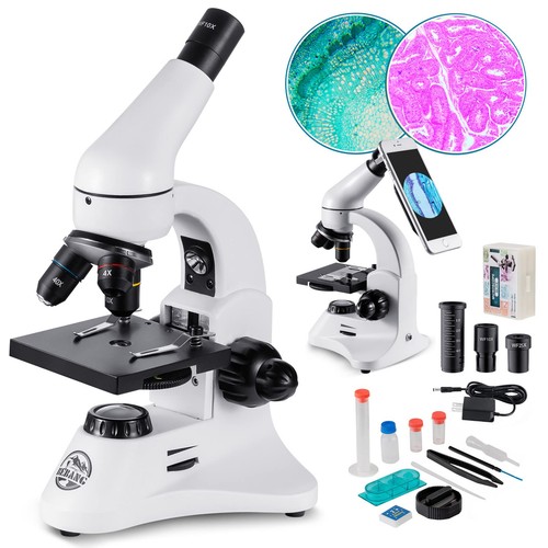 2000x microscopio ottico - 2000x,