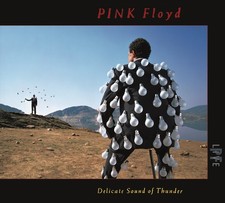 Pink Floyd - Delicate Sound Of