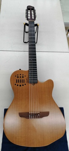 Chitarra elettrica acustica