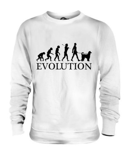 Levriero afgano evolution - afgano,