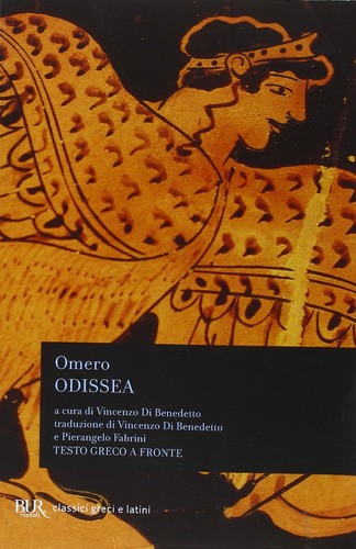Libro nuovo copertina - libro,