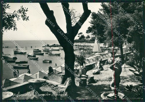 Livorno rosignano marittimo - rosignano,
