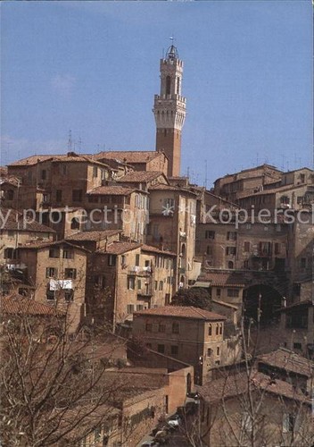 Siena torre del mangia - torre,