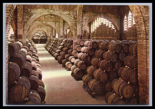 Cartolina cavas codorniu - cavas,